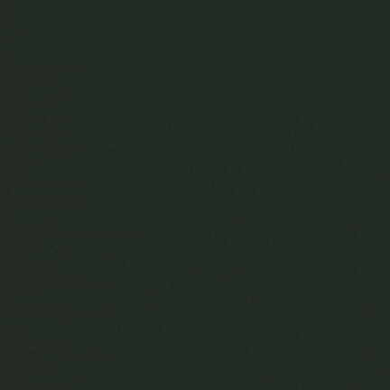 Realtor Emeritus 2025